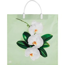 ����� ���������� ����������� ������� �� ��������� 36�37��10��/�� ���.162157