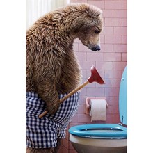 �������� ������� 121�183 �� 0114.297