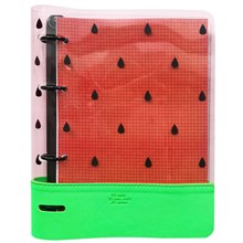 ������-������� Infolio �5 120�, ������,������,�������. Watermelon N1827