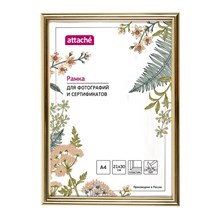 ����� ����������� Attache 21x30 (A4) ���  ������� (������)