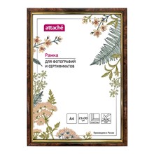 ����� ����������� Attache 21x30 (A4) ���  582 ������ ���� � �������