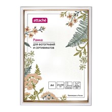 ����� ����������� Attache 21x30 (A4) ���  ����� � �������
