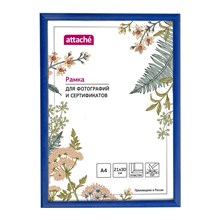 ����� ����������� Attache 21x30 (A4) ��� �����