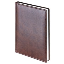 ���������� ������������ 2021, �5+, 168�, VELVET ����������   3-123/03