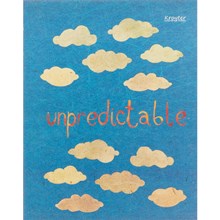 ������� ����� Kroyter �5,48�,������,������� Unpredictable ���.06272