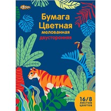 ������ ������� �1School, 16�, 8��, �4, ����� �������, �����, ������������