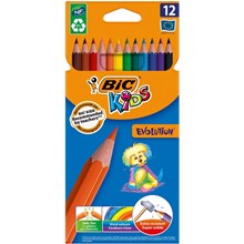 ��������� ������� 12�� 6-���� BIC Evolution 829029