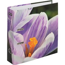 �����-����������� AttacheSelectionCrocuspetal,��.����,75��,���/��.����,����