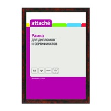 ����� �4(21�30)ATTACHE ������ ����, ����������� �����, ���������