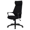 ������ BN_Hg_EChair-579 TC ����� ������, ������� ������