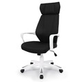 ������ BN_Hg_EChair-579 TC ����� ������, ������� �����