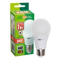 ����� ������������ PLED- ECO- A60  7w E27 3000K 220V/50Hz  Jazzway �����