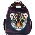 ����� �1School Basic ��������, 2 ���., �������. ������, �����