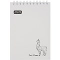 ������� �6,80�,��,����,����.���+��-��� Attache Selection LLAMAS �����