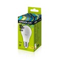 ����� ������������ Ergolux LED-A60-10W-E27-3K,��� 10��,E27,3000K 12148