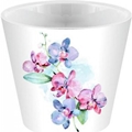 ������ ��� ������ London Orchid Deco  D160 ��/1,6 � ����� ������� ING6196��