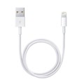  Apple Lightning - USB Cable (0.5 m), , ME291ZM/A