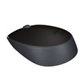   Logitech (910-004424) Wireless Mouse M171, Black